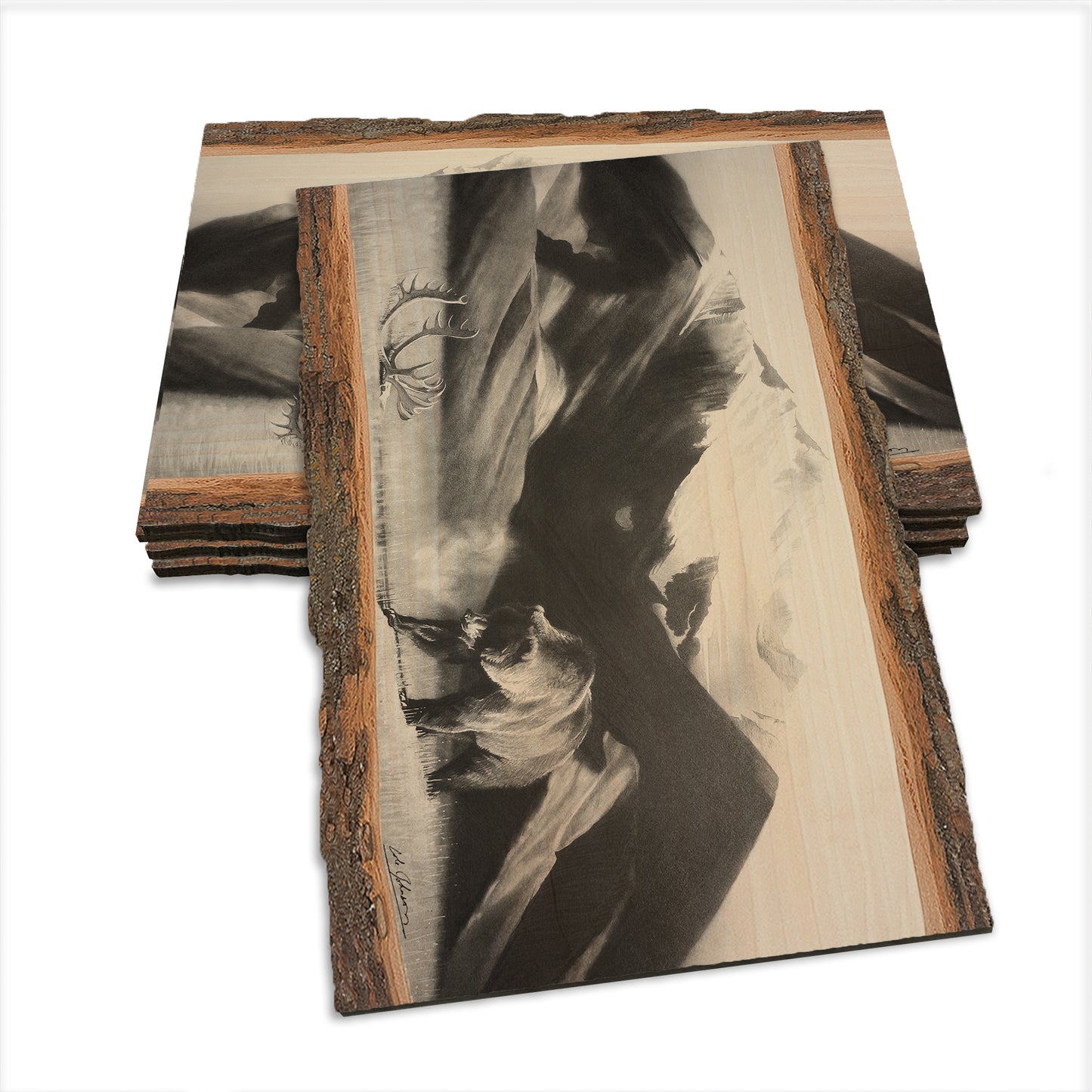Johnson's Grizz with Rack - Live Edge Live Edge Postcard (5pk // $2.80ea)
