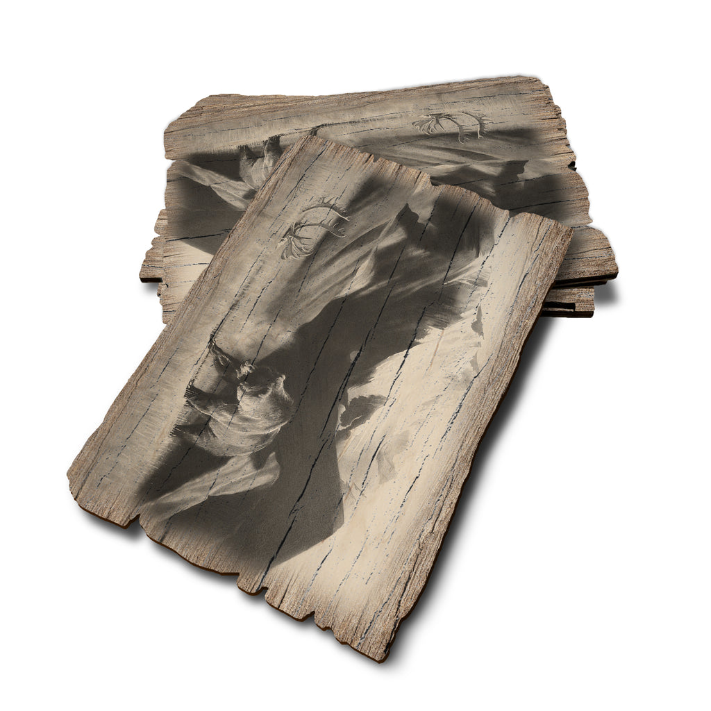 Johnson's Grizz With Rack - Weathered Edge Rustic Edge Postcard (5pk // $2.80ea)