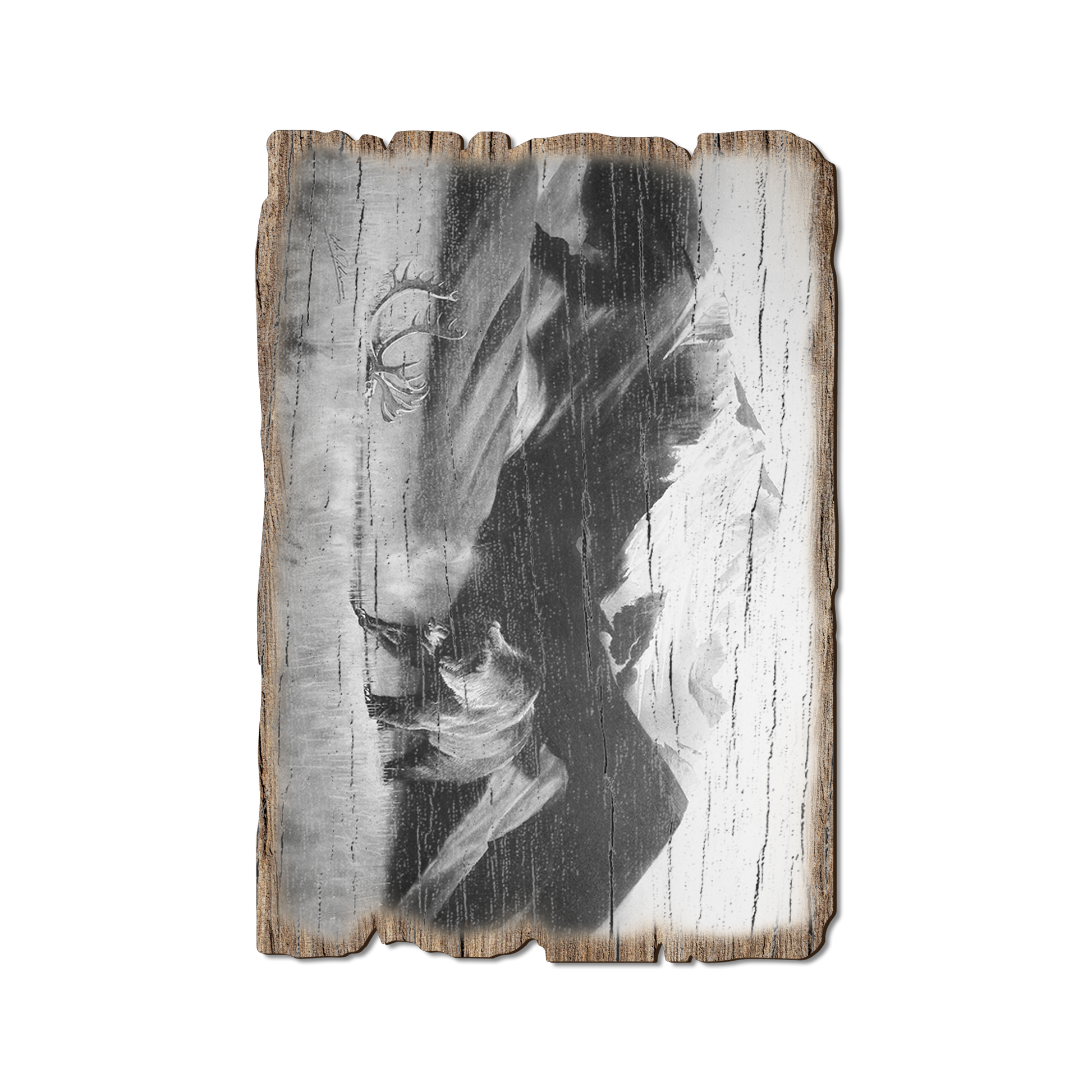 Greeting Card: Weathered Edge - Johnson's Grizz with Rack