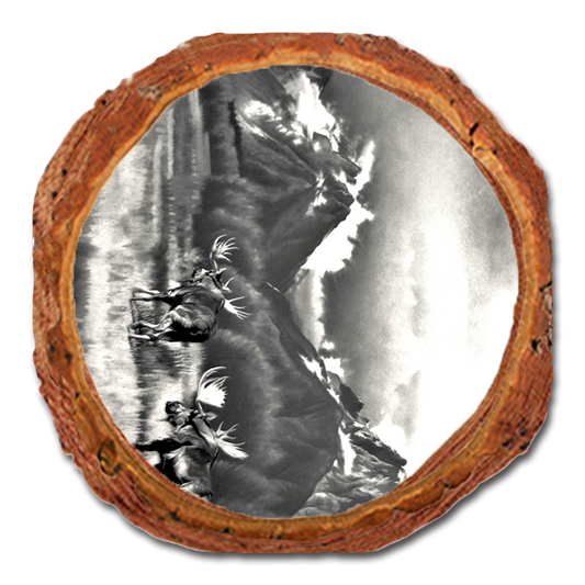 Coaster: Live Edge - Johnson's Homeward Bound (Pack of 5)