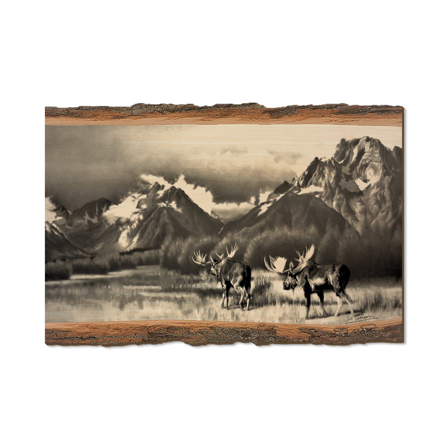 Johnson's Homeward Bound - Live Edge Live Edge Postcard (5pk // $2.80ea)