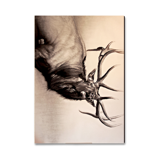 Greeting Card: Classic Edge - Johnson's Herd Bull