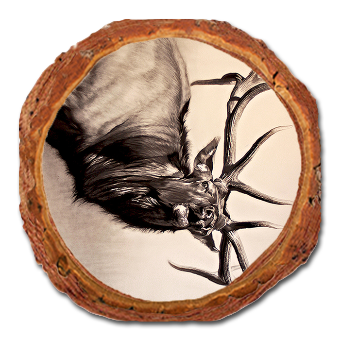Coaster: Live Edge - Johnson's Herd Bull