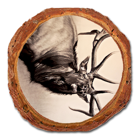 Coaster: Live Edge - Johnson's Herd Bull