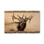 Johnson's Herd Bull - Live Edge Live Edge Magnet (5pk // $2.80ea)