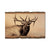Johnson's Herd Bull - Live Edge Live Edge Postcard (5pk // $2.80ea)
