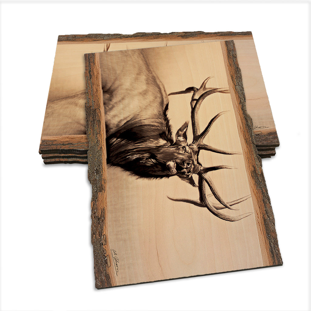 Johnson's Herd Bull - Live Edge Live Edge Postcard (5pk // $2.80ea)