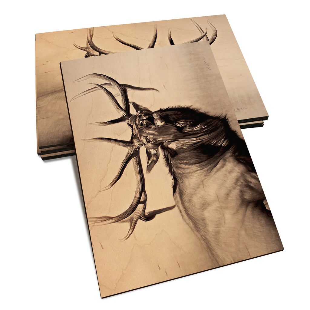 Johnson's Herd Bull - Classic Edge Classic Edge Postcard (5pk // $2.80ea)