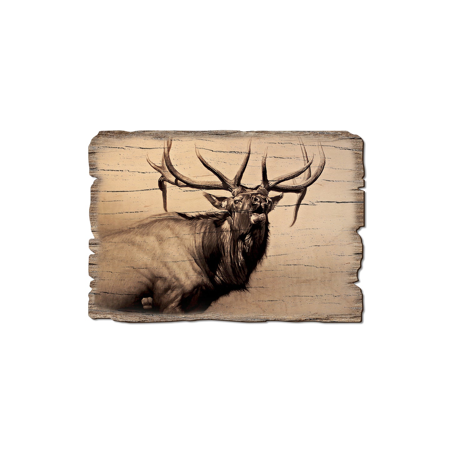 Johnson's Heard Bull - Rustic Edge Postcards & Magnets Rustic Edge Magnet (5pk // $2.80ea)