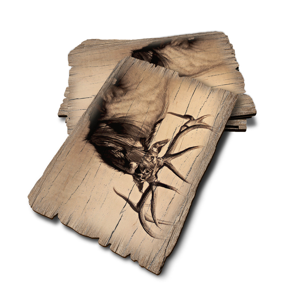 Johnson's Heard Bull - Weathered Edge Rustic Edge Postcard (5pk // $2.80ea)