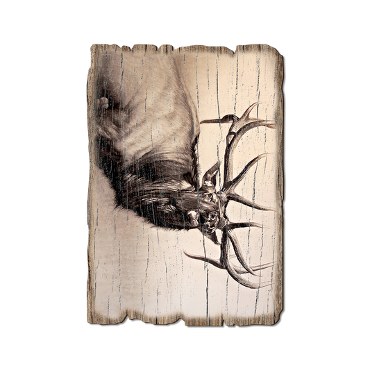 Greeting Card: Weathered Edge - Johnson's Herd Bull (Pack of 5)