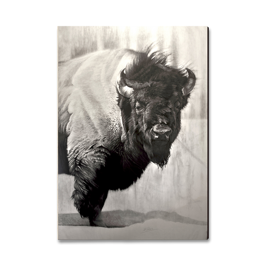 Greeting Card: Classic Edge - Johnson's Icon Bison (Pack of 5)