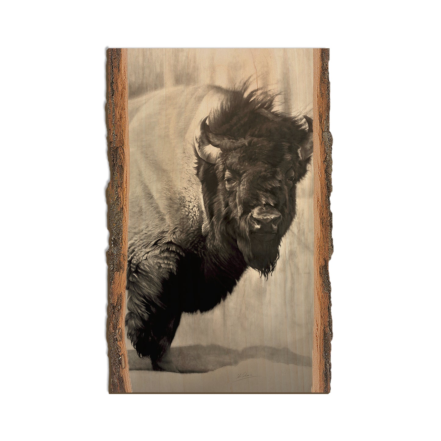 Johson's Icon Bison - Live Edge Live Edge Magnet (5pk // $2.80ea)