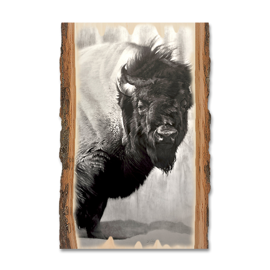 Magnet: Live Edge - Johnson's Icon Bison