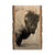 Johson's Icon Bison - Live Edge Live Edge Postcard (5pk // $2.80ea)