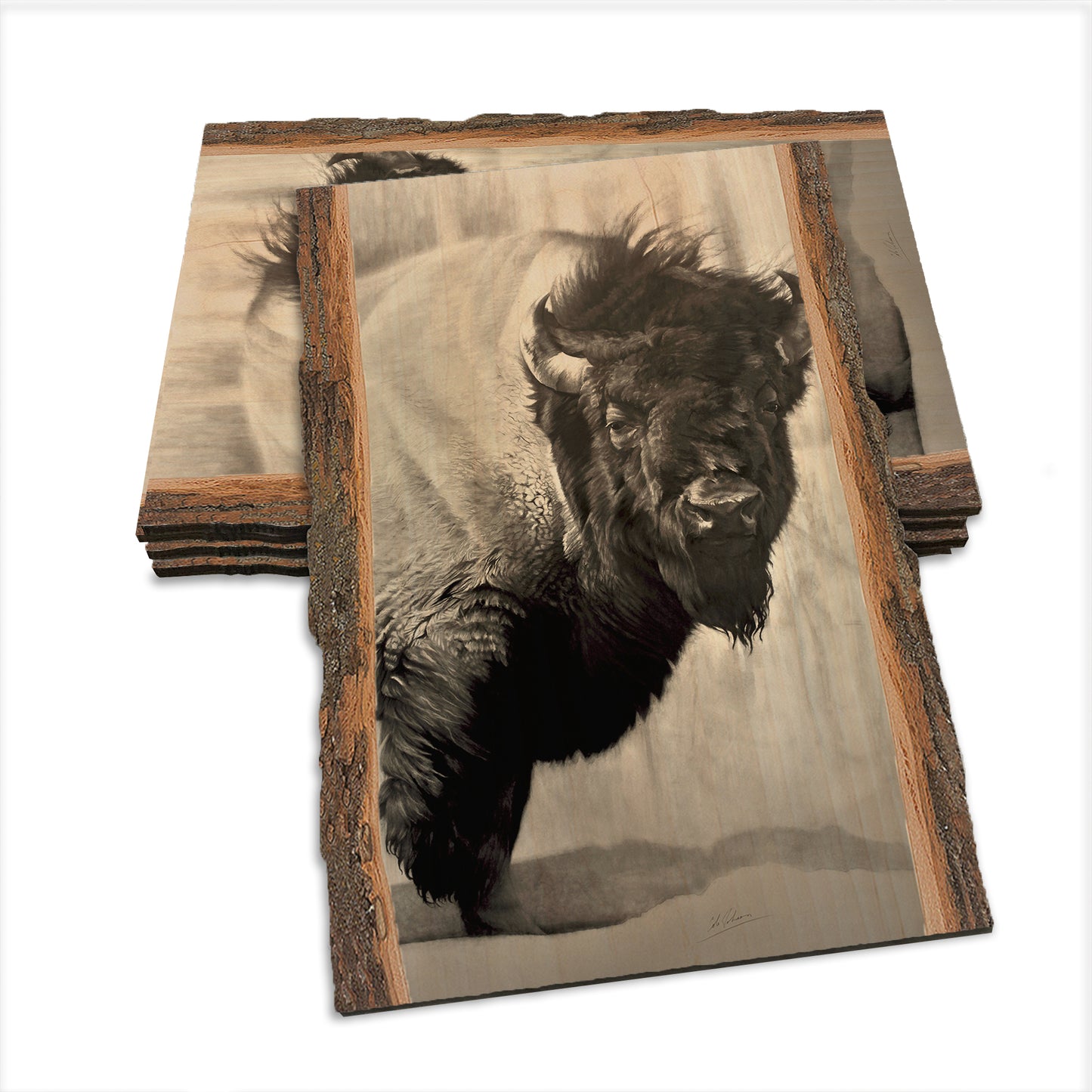 Johnson's Icon Bison - Live Edge Live Edge Postcard (5pk // $2.80ea)