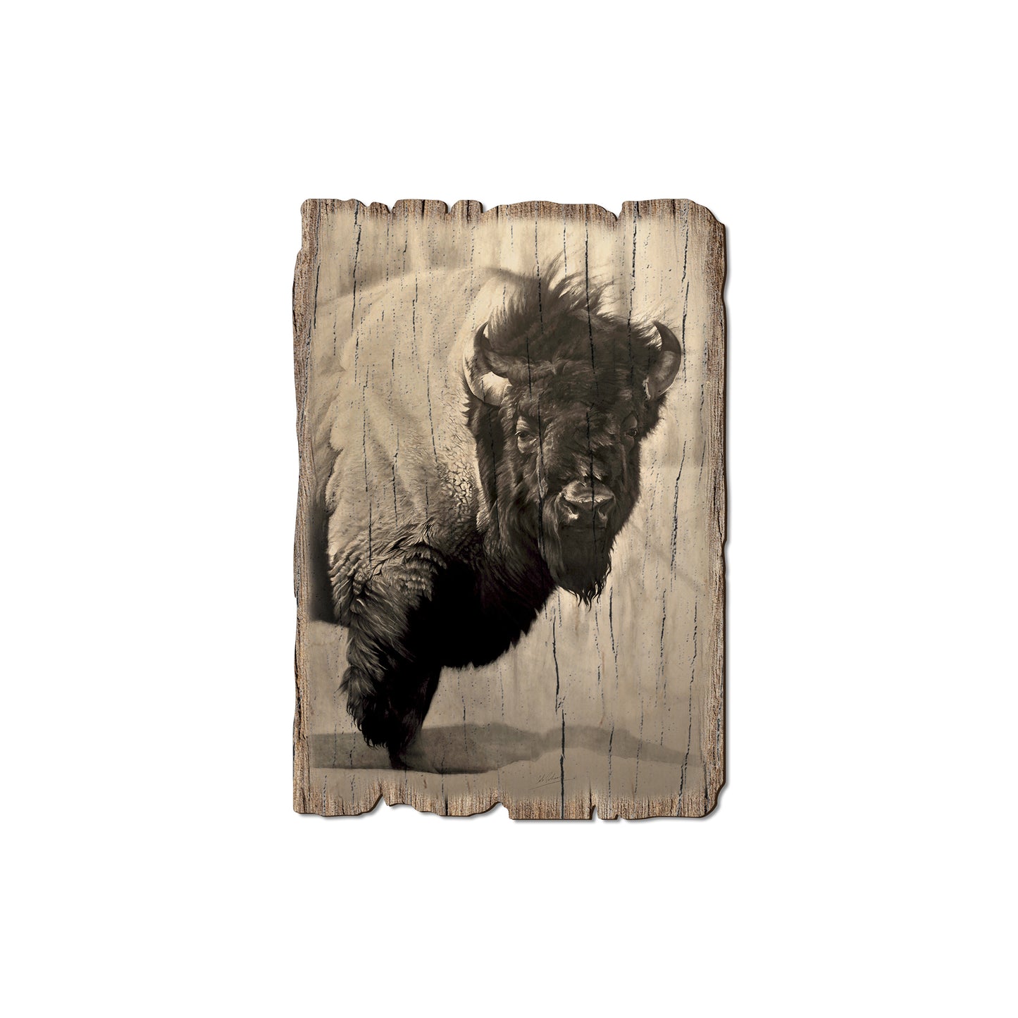 Johnson's Icon Bison - Rustic Edge Postcards & Magnets Rustic Edge Magnet (5pk // $2.80ea)