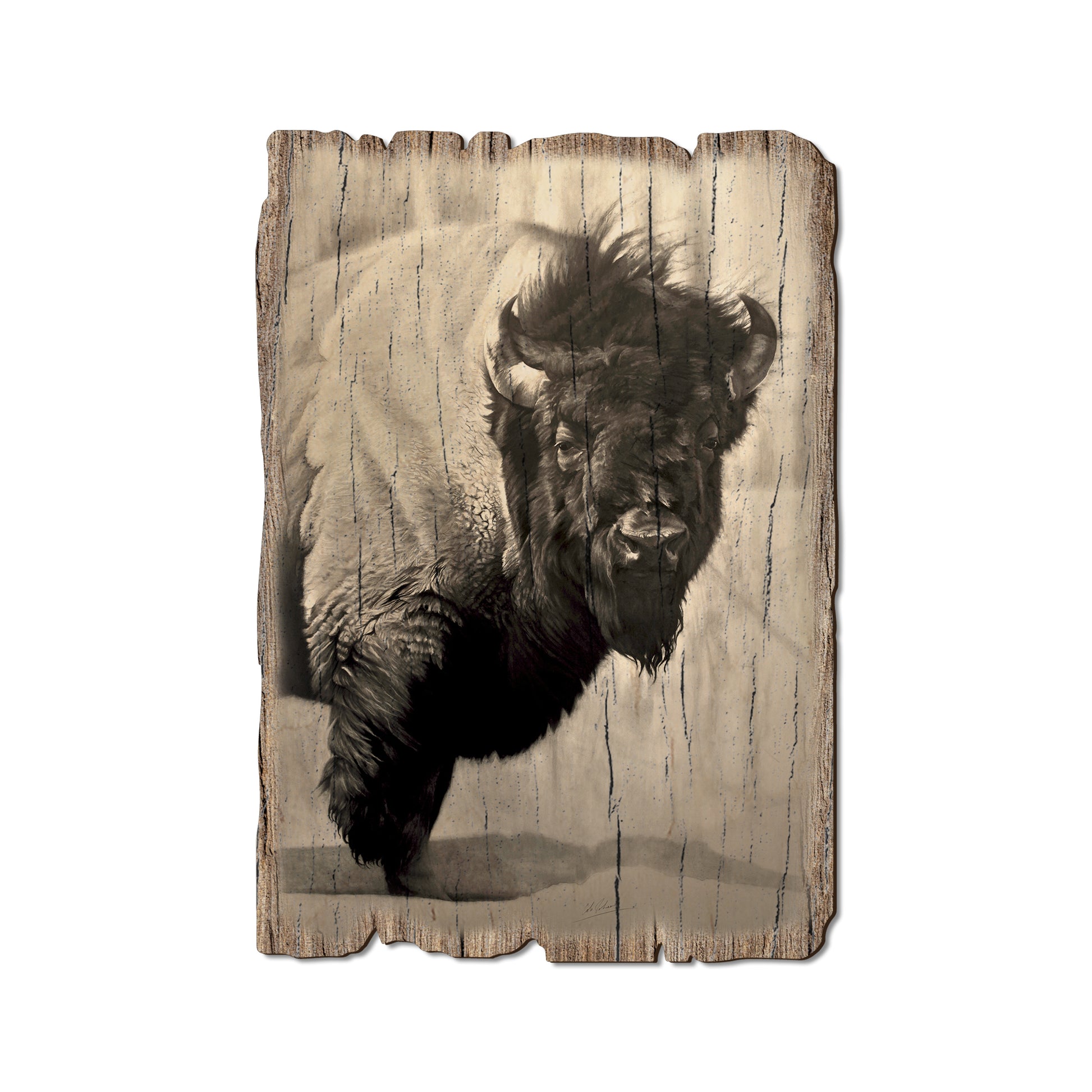 Johnson's Icon Bison - Rustic Edge Postcards & Magnets Rustic Edge Postcard (5pk // $2.80ea)