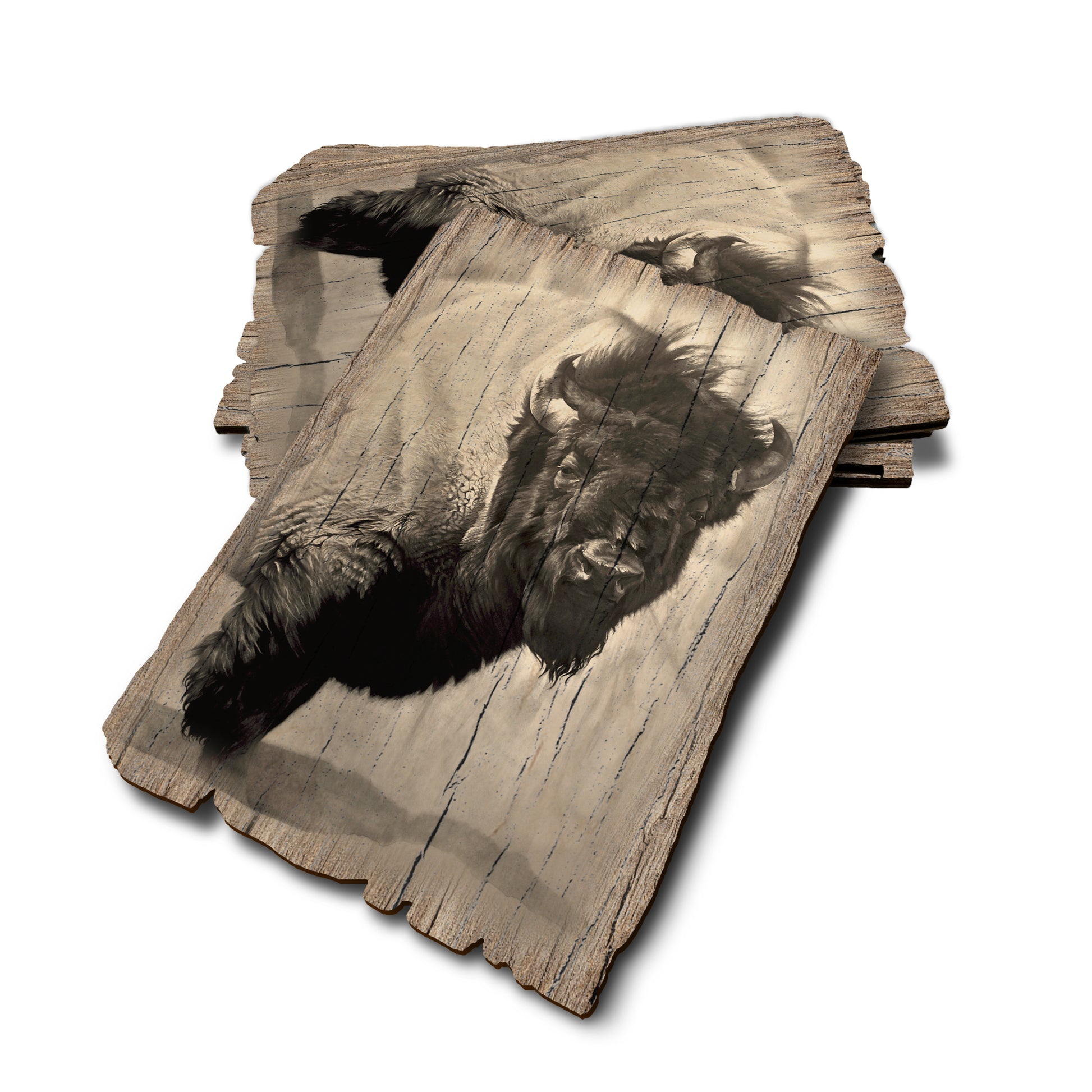 Johnson's Icon Bison - Weathered Edge Rustic Edge Postcard (5pk // $2.80ea)