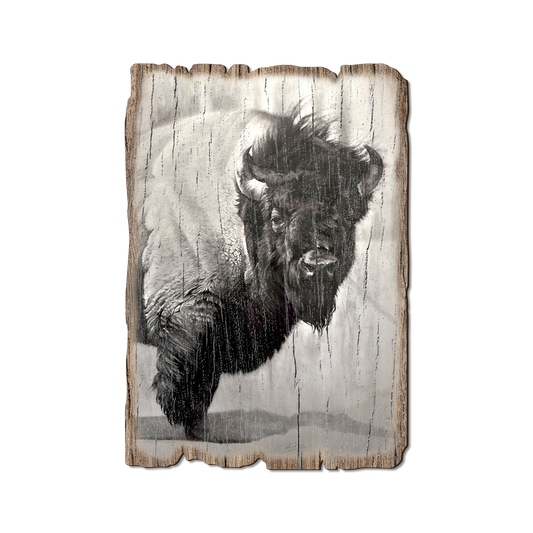 Greeting Card: Weathered Edge - Johnson's Icon Bison