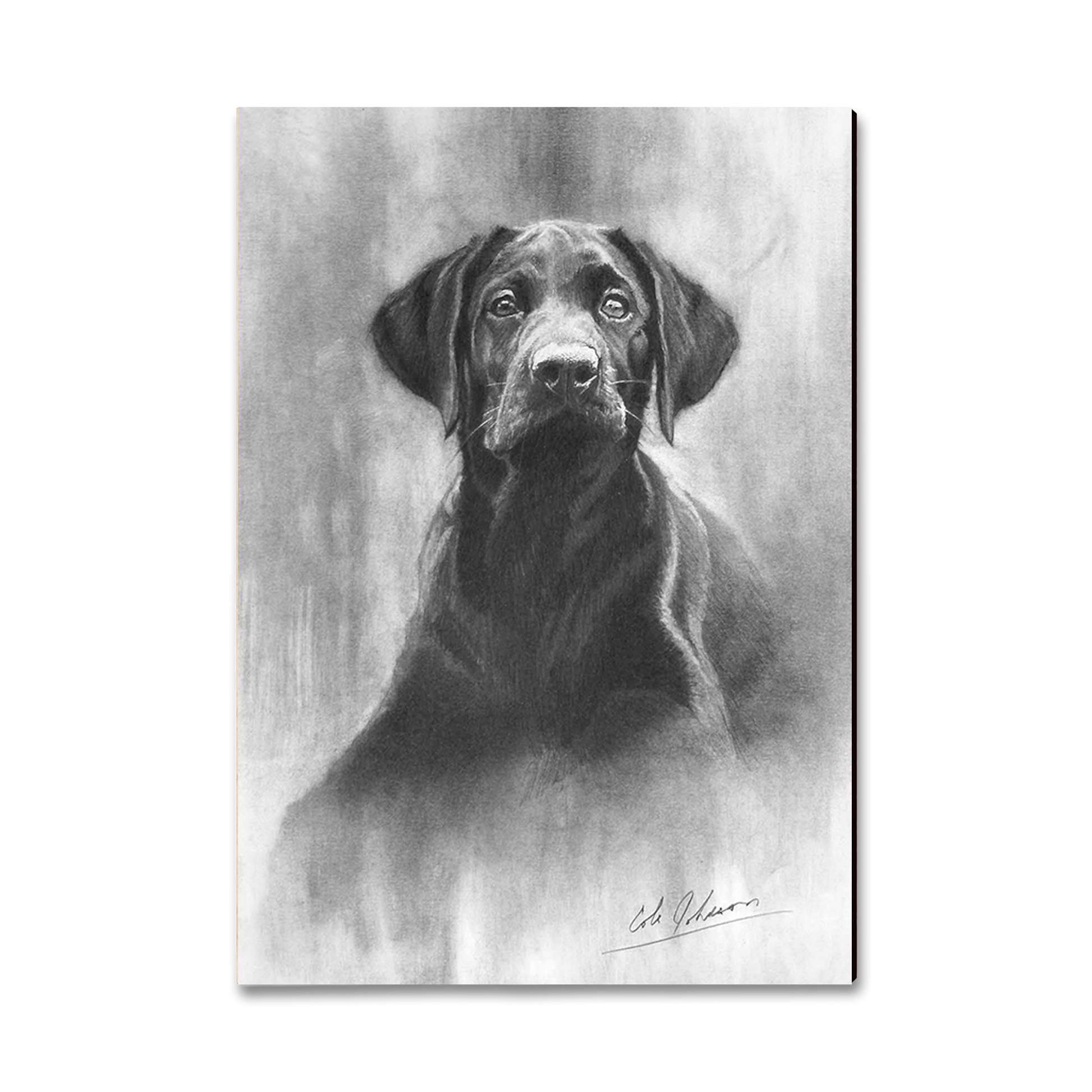 Magnet: Classic Edge - Johnson's Lab Pup