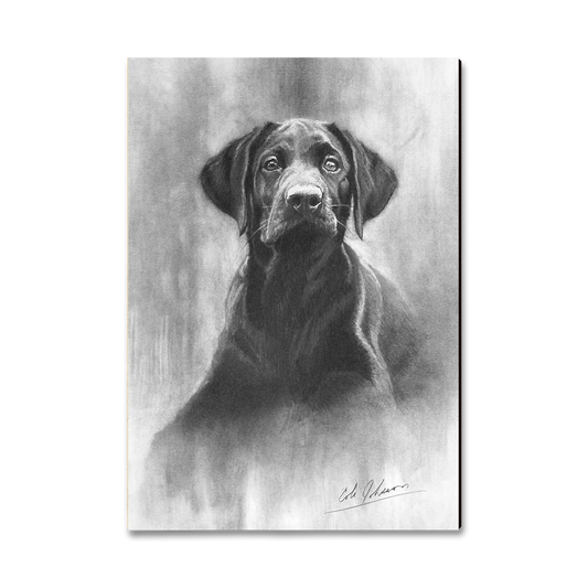 Magnet: Classic Edge - Johnson's Lab Pup