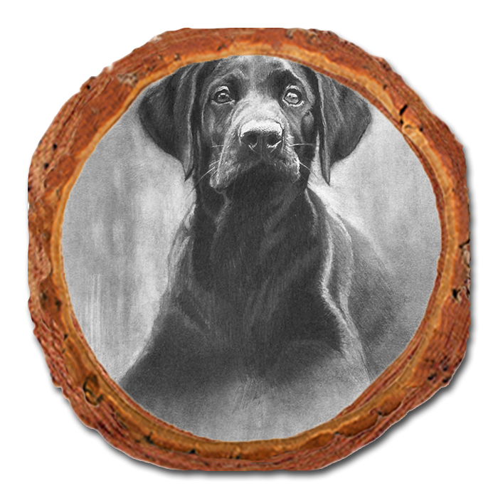 Coaster: Live Edge - Johnson's Lab Pup (Pack of 5)