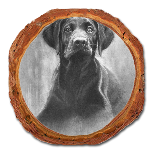 Coaster: Live Edge - Johnson's Lab Pup (Pack of 5)
