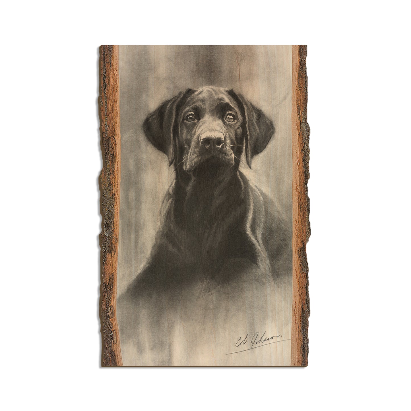 Johnson's Lab Pup - Live Edge Live Edge Magnet (5pk // $2.80ea)