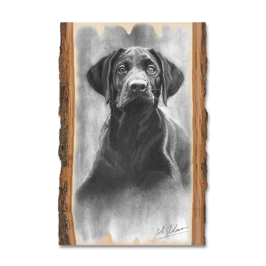 Magnet: Live Edge - Johnson's Lab Pup