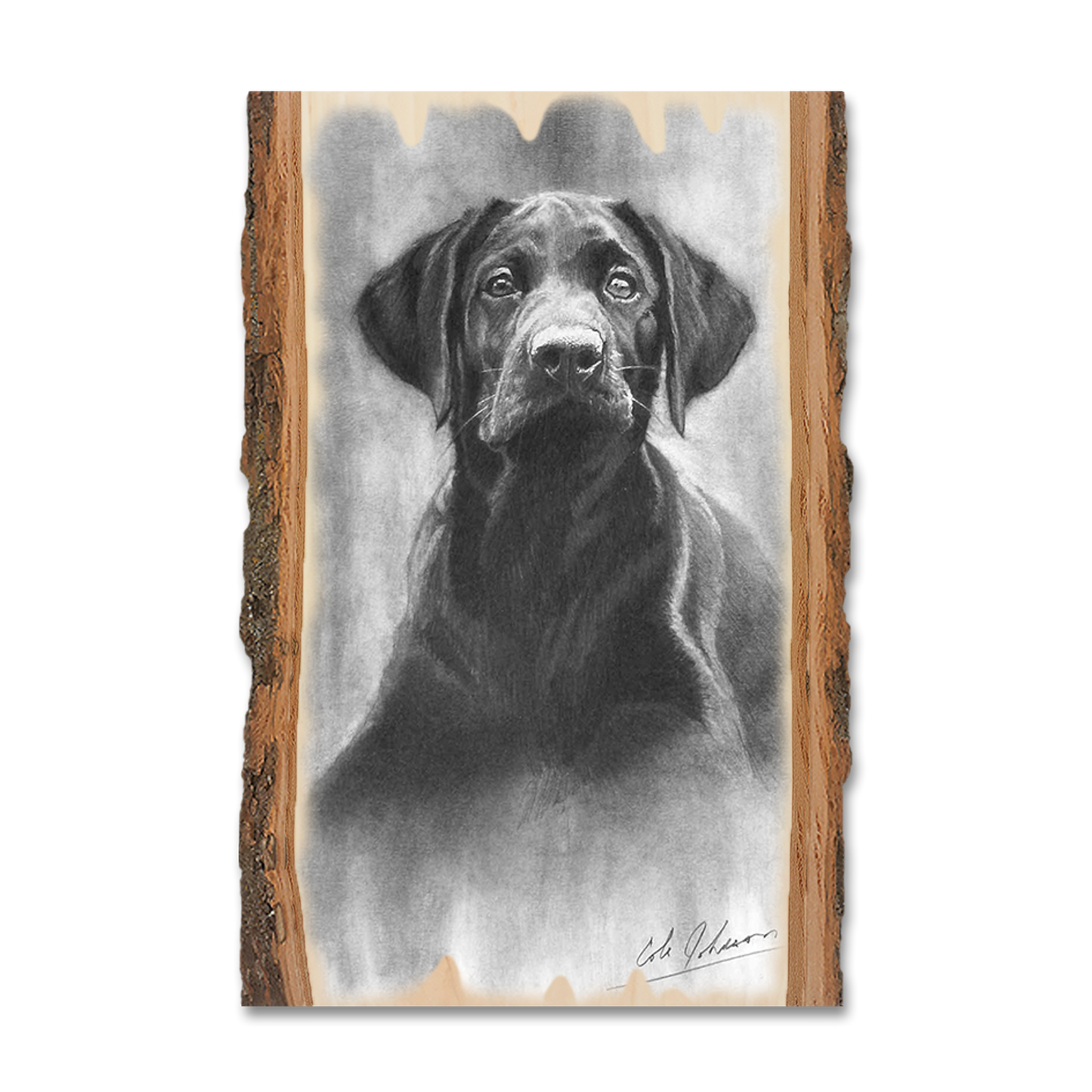 Ornament: Live Edge - Johnson's Lab Pup