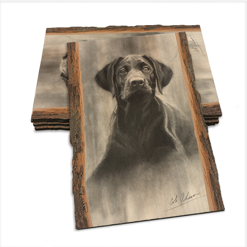 Johnson's Lab Pup - Live Edge Live Edge Postcard (5pk // $2.80ea)