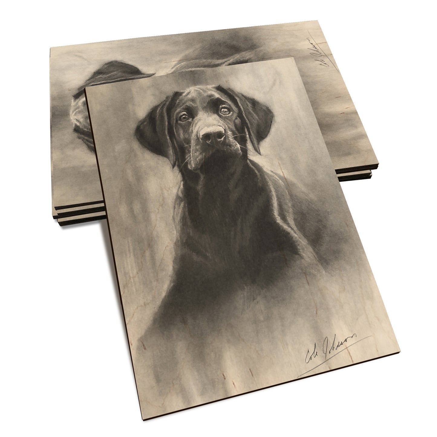 Johnson's Lab Pup - Classic Edge Classic Edge Postcard (5pk // $2.80ea)