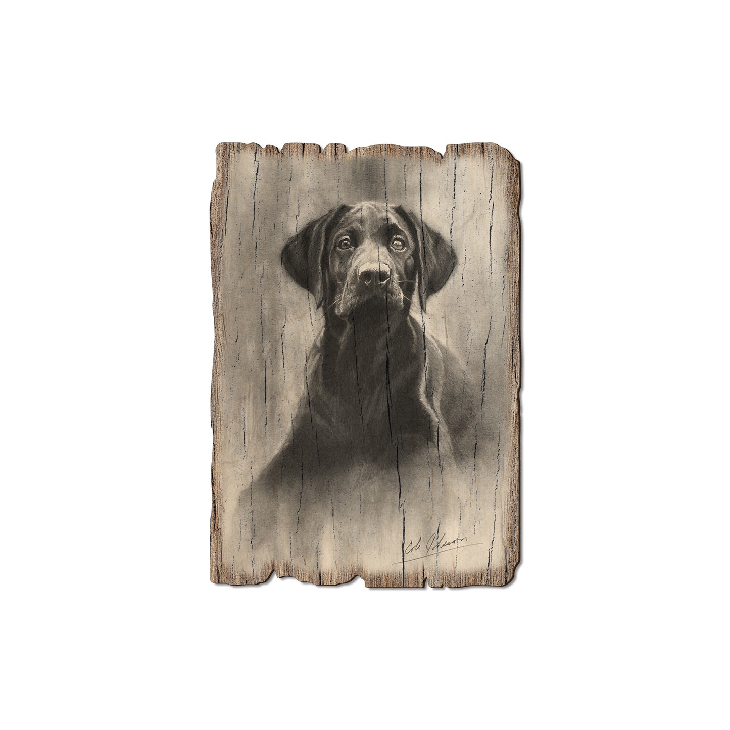 Johnson's Lab Pup - Rustic Edge Postcards & Magnets Rustic Edge Magnet (5pk // $2.80ea)