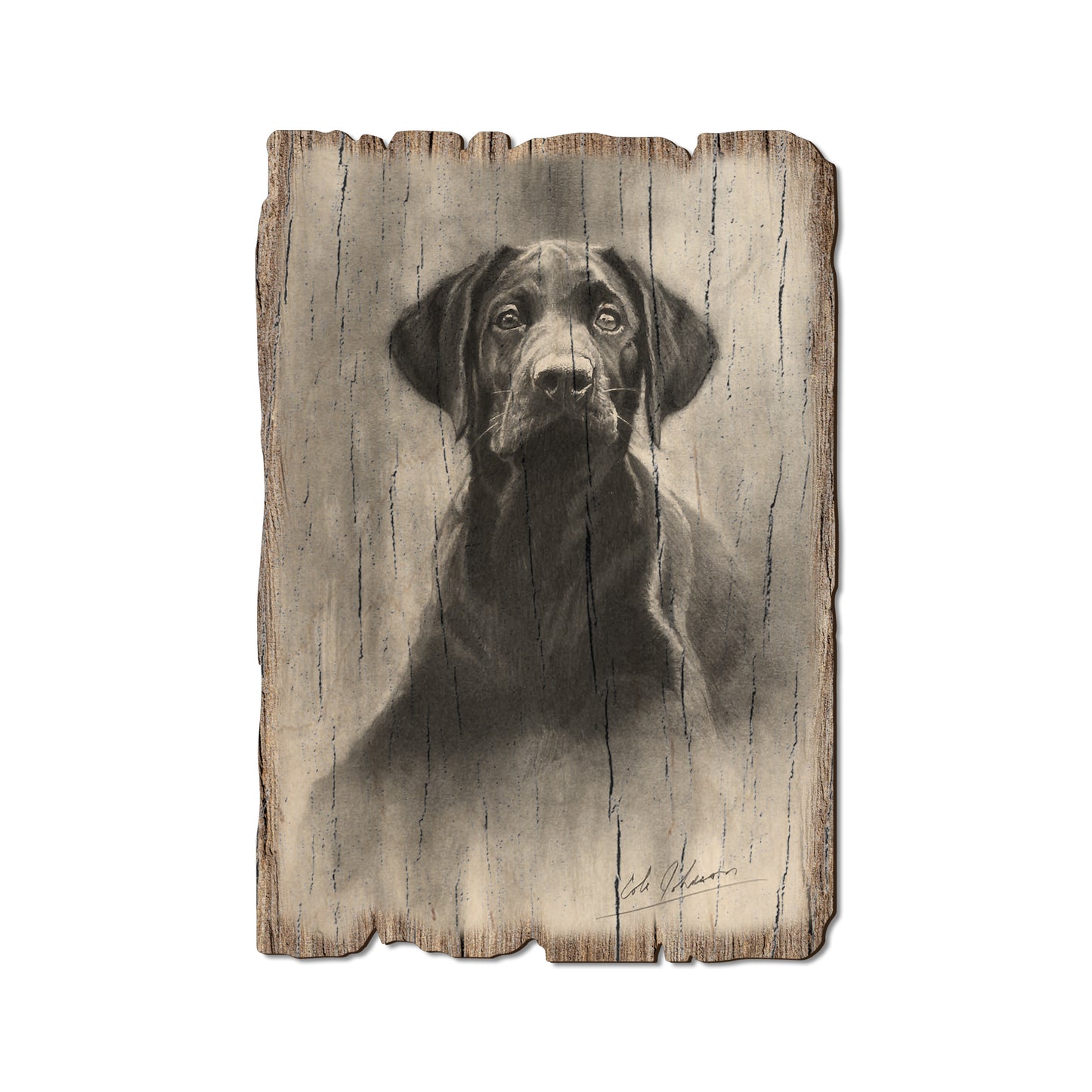 Johnson's Lab Pup - Rustic Edge Postcards & Magnets Rustic Edge Postcard (5pk // $2.80ea)