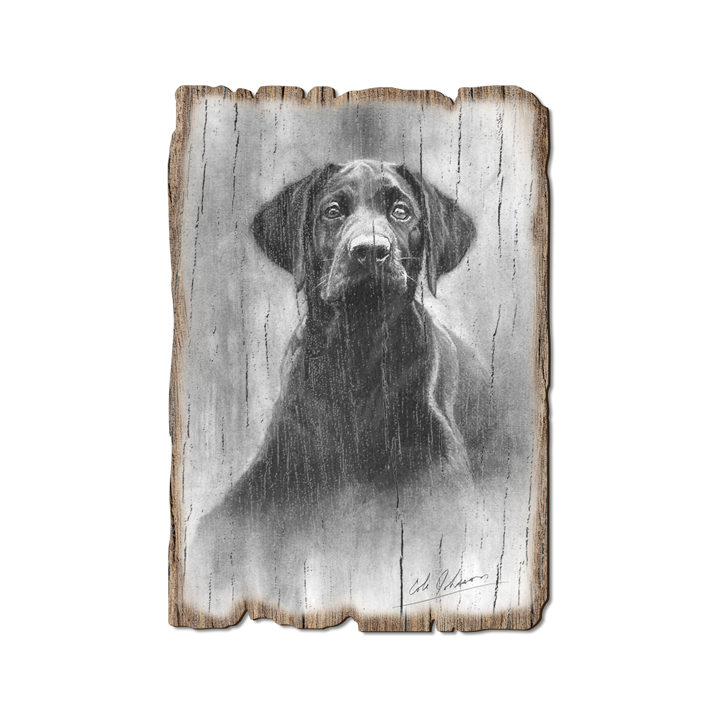 Greeting Card: Weathered Edge - Johnson's Lab Pup