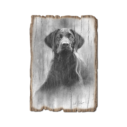 Greeting Card: Weathered Edge - Johnson's Lab Pup