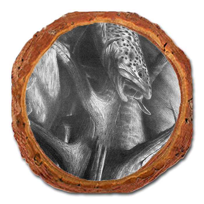 Coaster: Live Edge - Johnson's Out of the Darkness (Pack of 5)