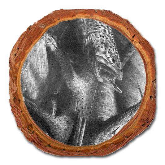 Coaster: Live Edge - Johnson's Out of the Darkness (Pack of 5)