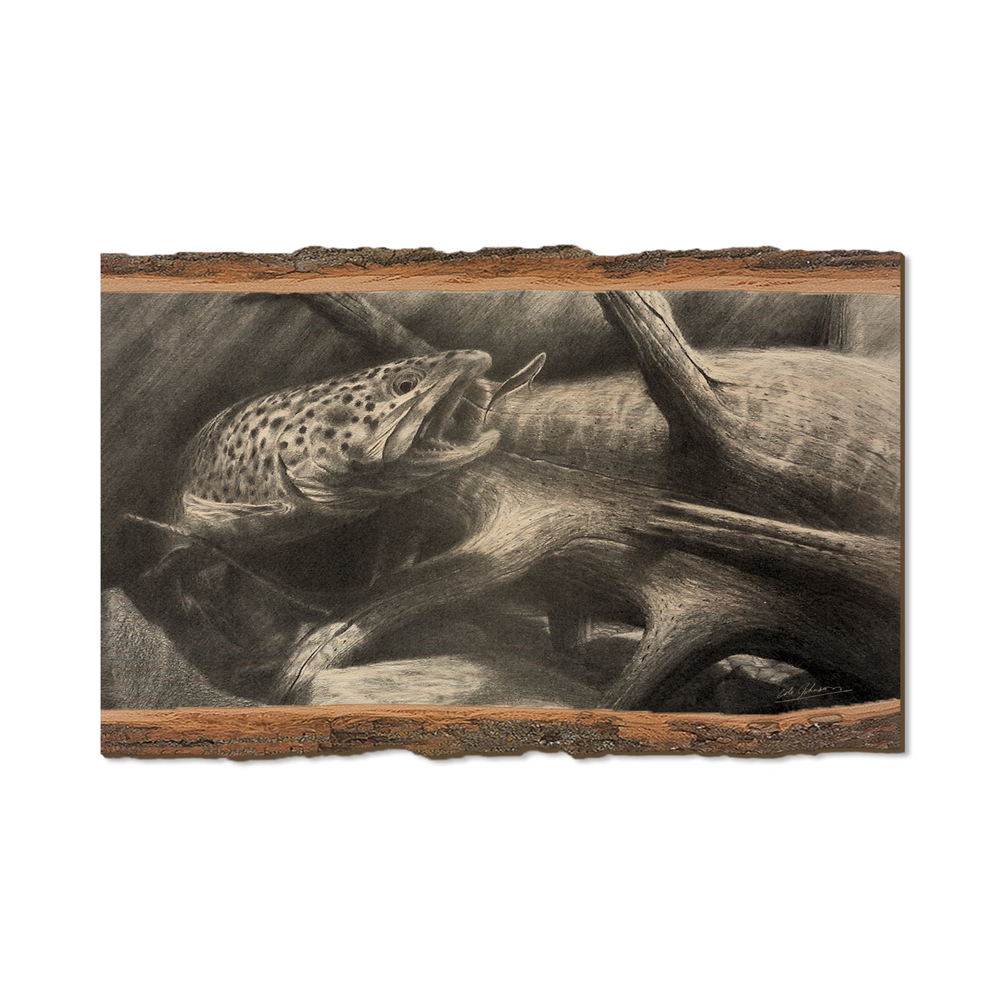 Johnson's Out of the Darkness - Live Edge Live Edge Magnet (5pk // $2.80ea)