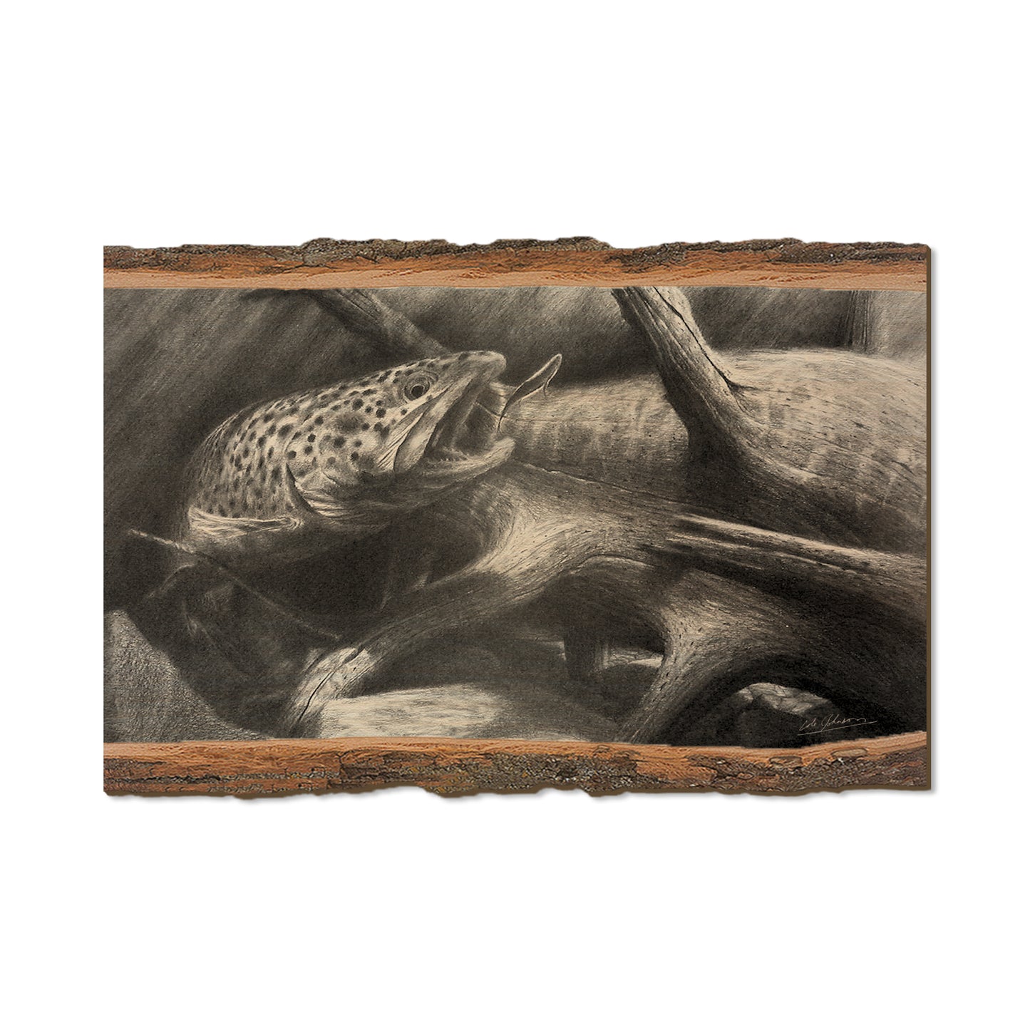 Johnson's Out of the Darkness - Live Edge Live Edge Postcard (5pk // $2.80ea)