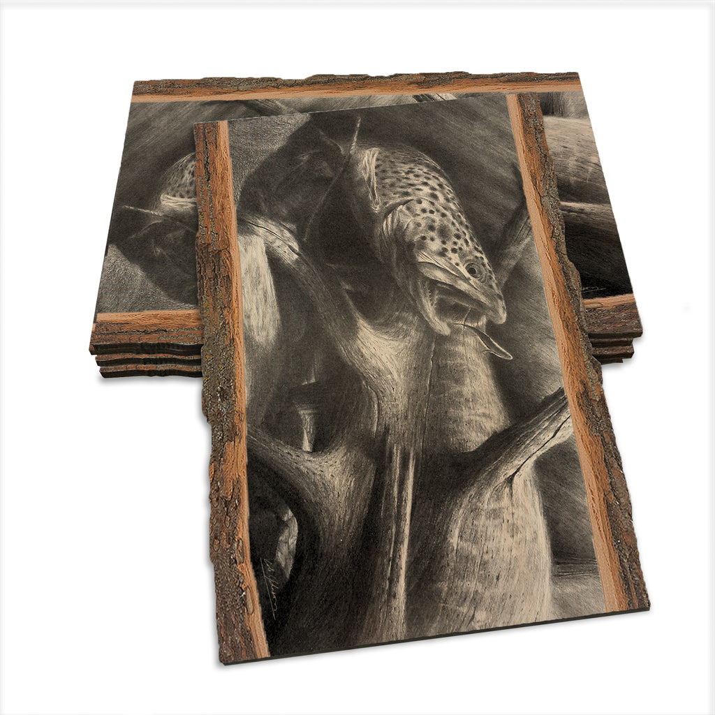 Johnson's Out of the Darkness - Live Edge Live Edge Postcard (5pk // $2.80ea)