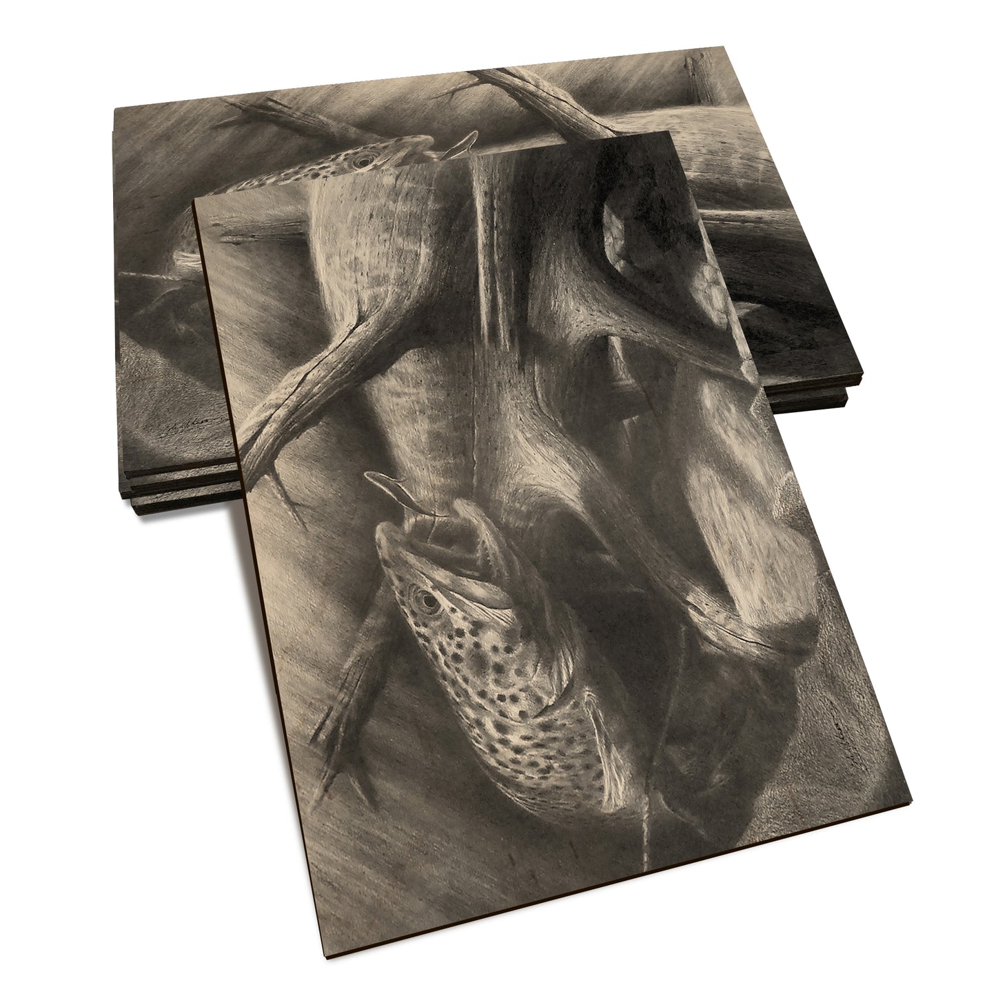 Johnson's Out of the Darkness - Classic Edge Classic Edge Postcard (5pk // $2.80ea)