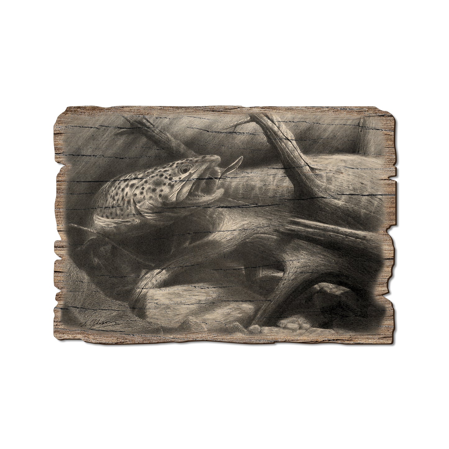 Johnson's Out Of Darkness - Rustic Edge Postcards & Magnets Rustic Edge Postcard (5pk // $2.80ea)