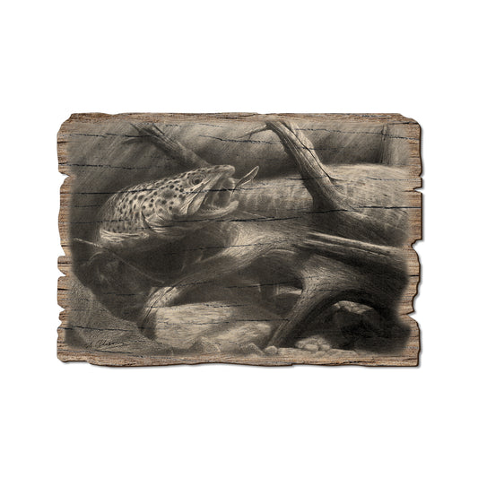 Johnson's Out Of Darkness - Rustic Edge Postcards & Magnets Rustic Edge Postcard (5pk // $2.80ea)
