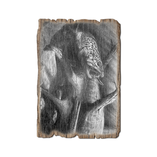 Greeting Card: Weathered Edge - Johnson's Out of the Darkness