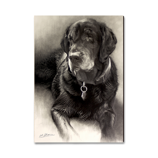 Magnet: Classic Edge - Johnson's Old Lab