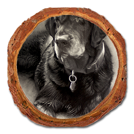 Coaster: Live Edge - Johnson's Old Lab