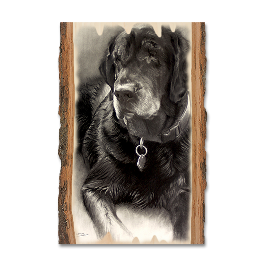 Greeting Card: Live Edge - Johnson's Old Lab