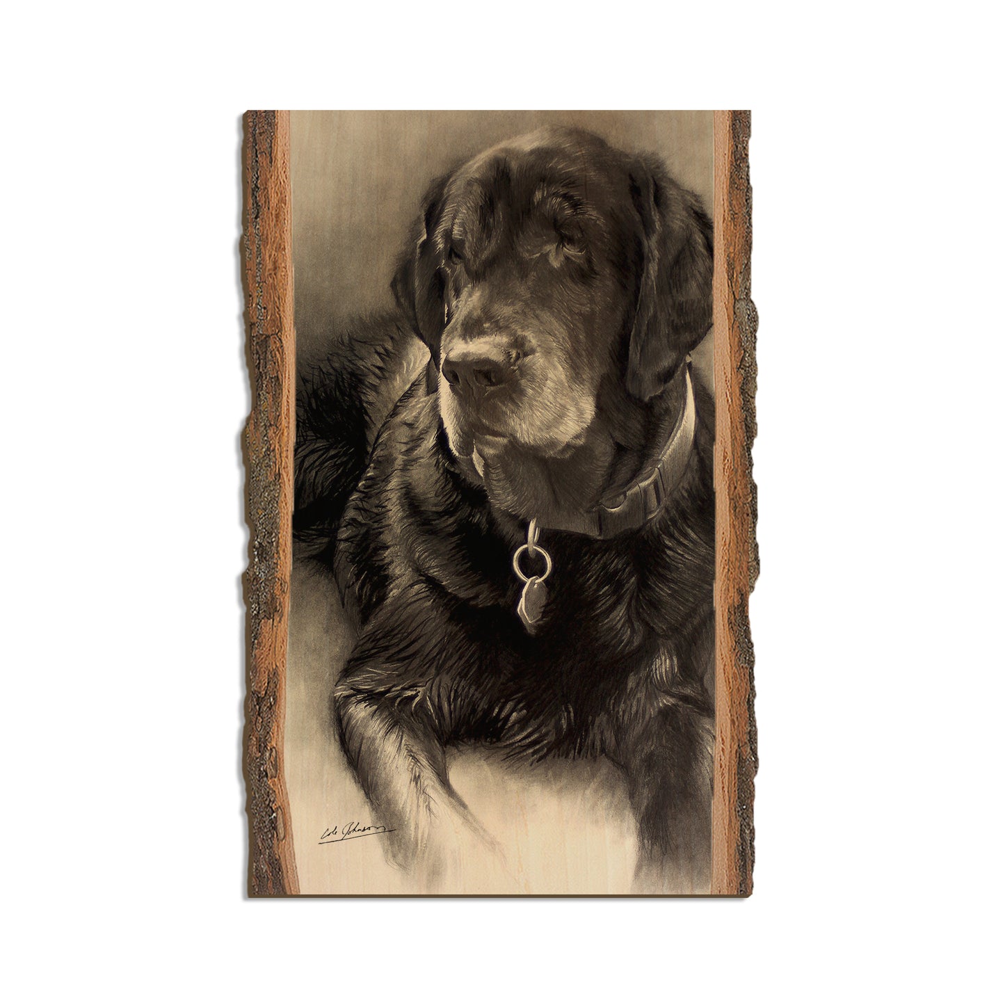 Johnson's Old Lab - Live Edge Live Edge Magnet (5pk // $2.80ea)